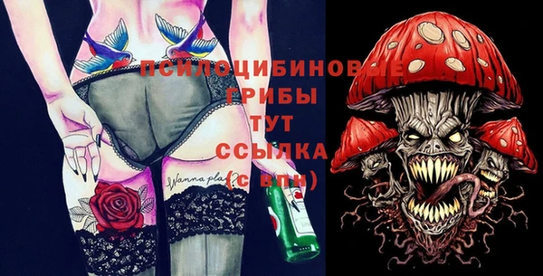 твердый Нягань