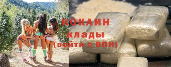 твердый Нягань
