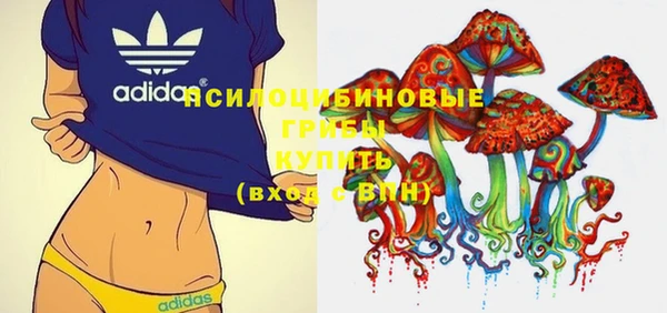 твердый Нягань