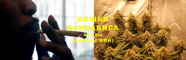 твердый Нягань